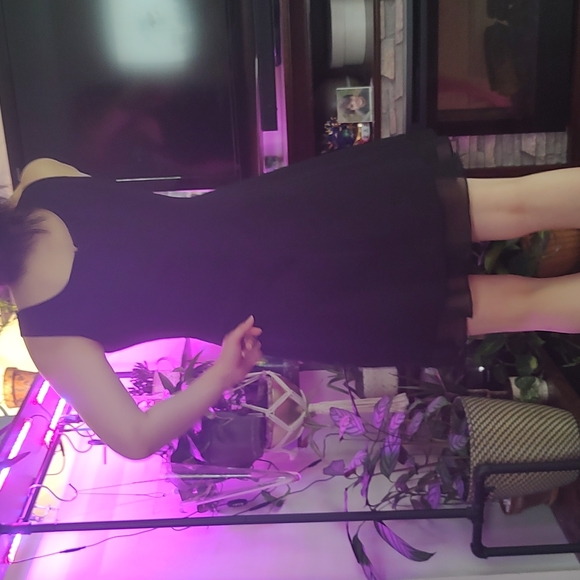 Black Party Dress - Picture 3 of 3